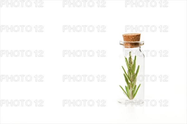 Close-up of a glass jar with branches of fresh rosemary isolated on a white background