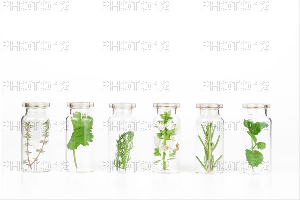 Aromatic plants in a glass jar isolated on a white background