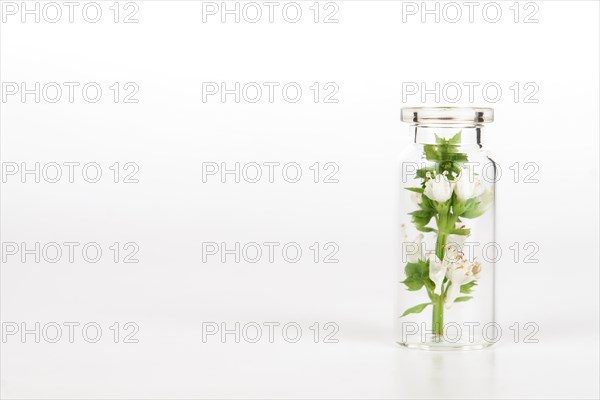 Close-up of a glass jar with fresh basil branches isolated on white background
