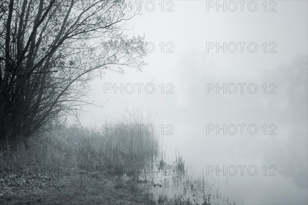 Small lake with dense fog
