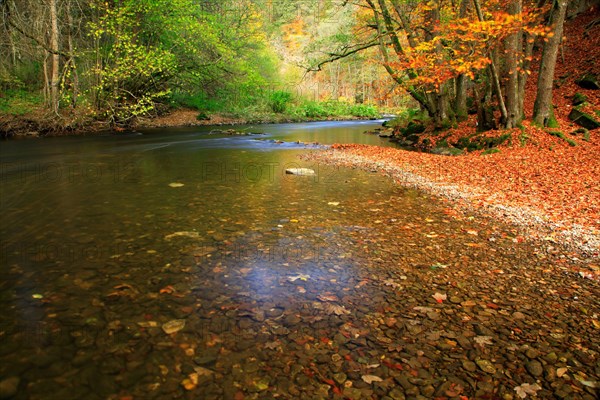 Autumn on the Wutach in the Wutach Gorge