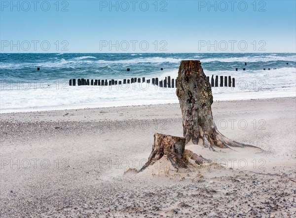 Winter storm on the Baltic Sea