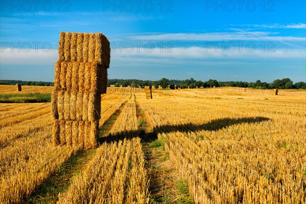 Stubble field with straw bales in the morning light