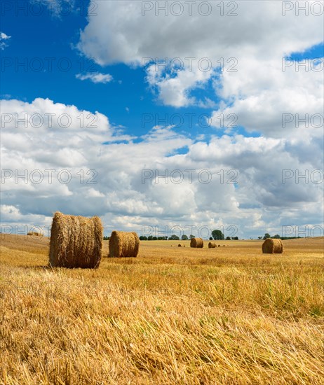 Stubble field with round straw bales