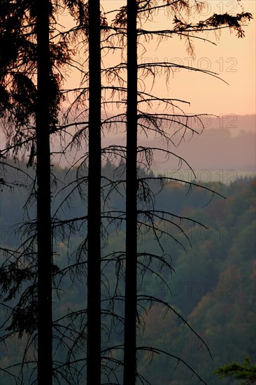 Sunset in the Thuringian Slate Mountains