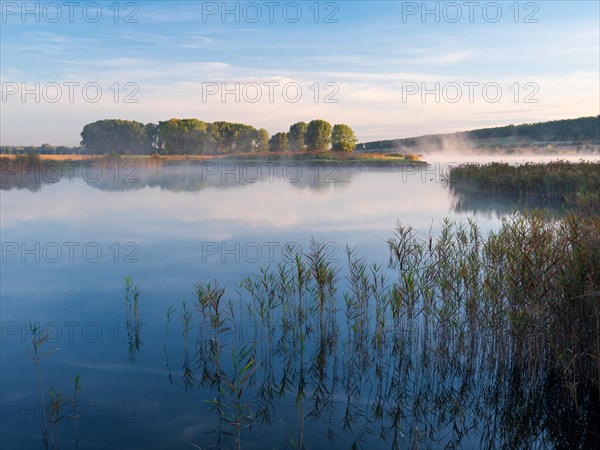 Lake with reeds and morning mist