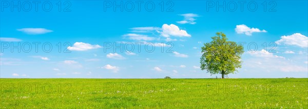 Cultivated landscape in spring