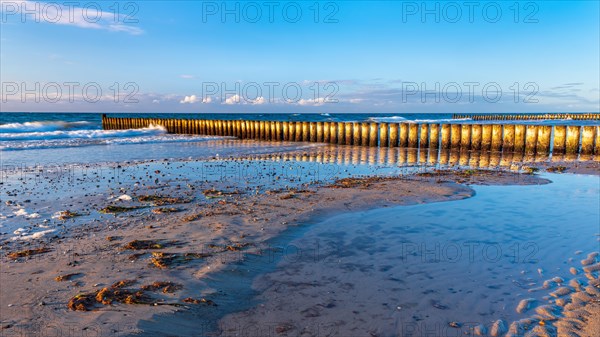 Groynes on the beach of the Baltic Sea in the evening light