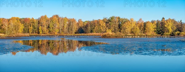 Swampy lake in autumn