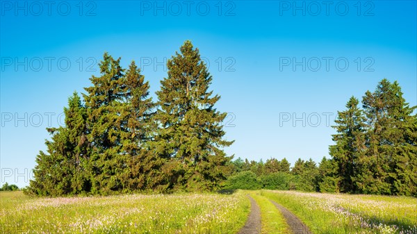 Hiking trail through typical Rhoen landscape