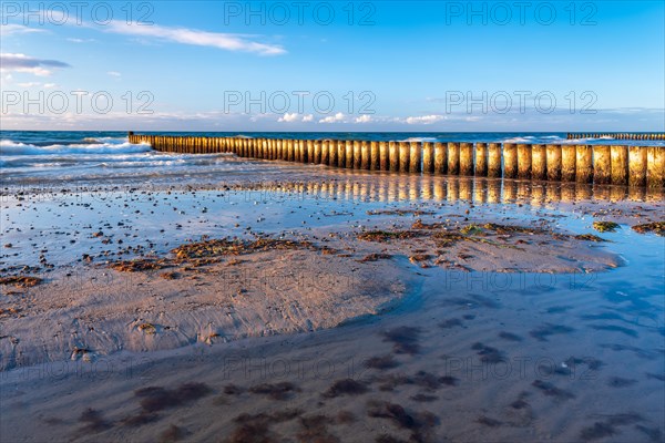 Groynes on the beach of the Baltic Sea in the evening light