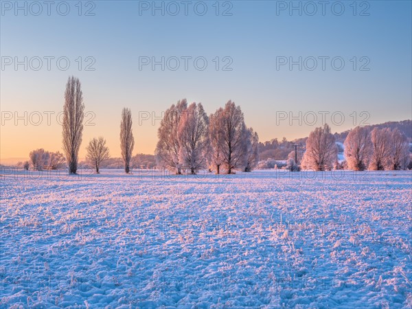 Winter landscape in the morning light