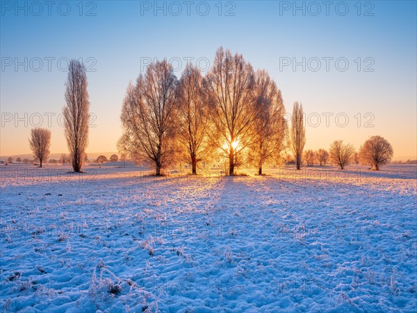 Winter landscape at sunrise