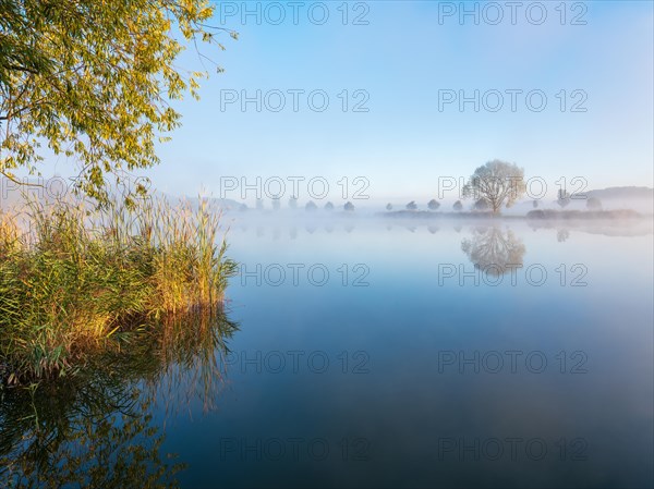 Lake with reeds and morning mist in autumn morning light