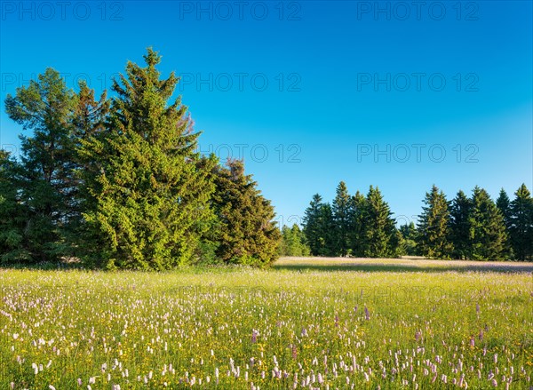 Typical landscape of the Rhoen