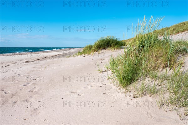 Summer day by the sea