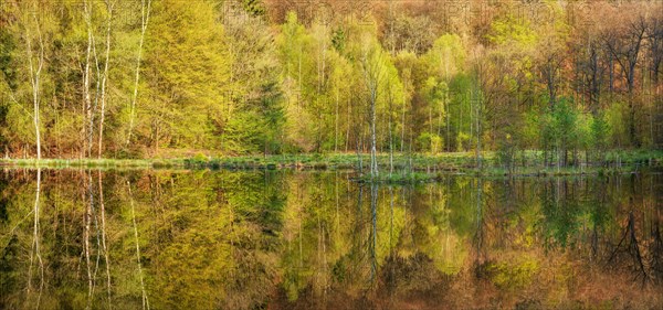 Lake in spring