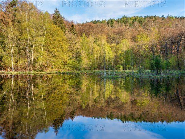 Lake in spring