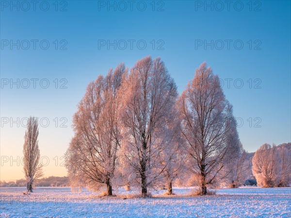 Winter landscape in the morning light