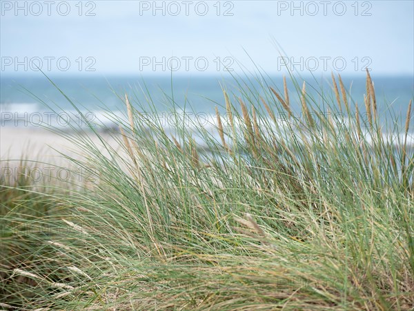 Summer day at the sea