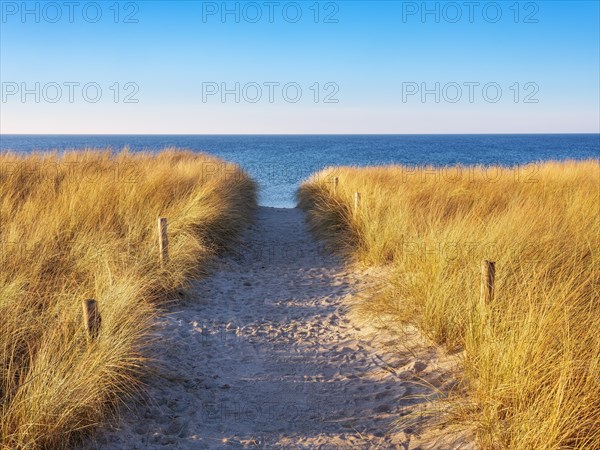 Beach access at the Baltic Sea in the evening light