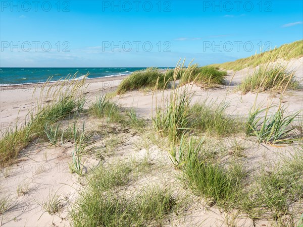 Summer day by the sea