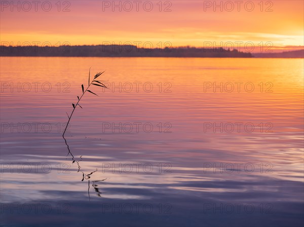 Clear calm lake at sunrise