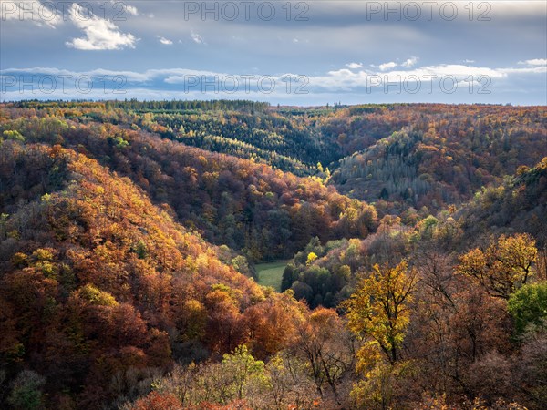 Autumn in the Selke valley