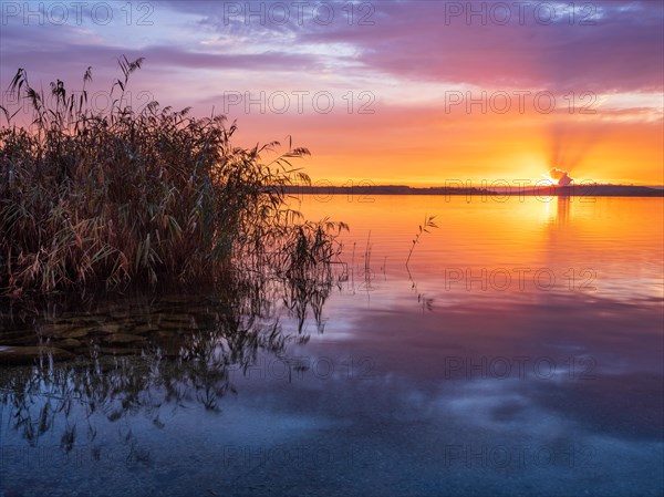 Clear still lake at sunrise