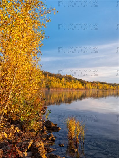 Autumn at the Geiseltalsee