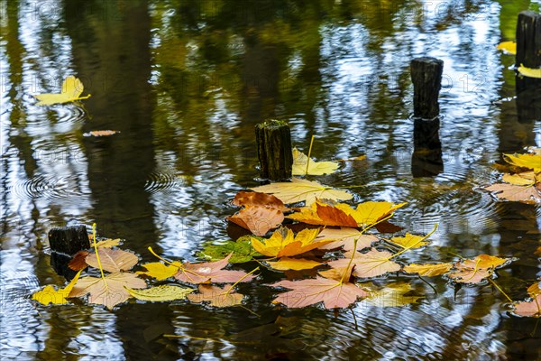 Autumn time