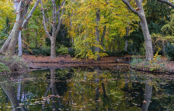 Autumn time