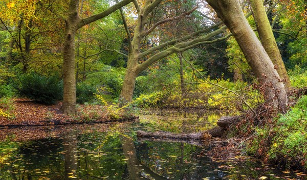 Autumn time