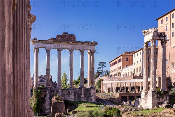 Roman Forum