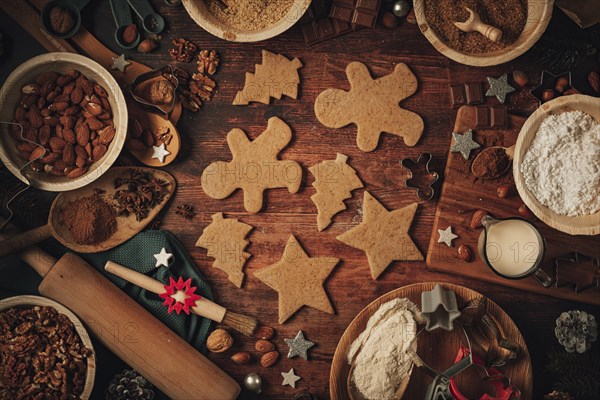 Christmas biscuit cut-outs