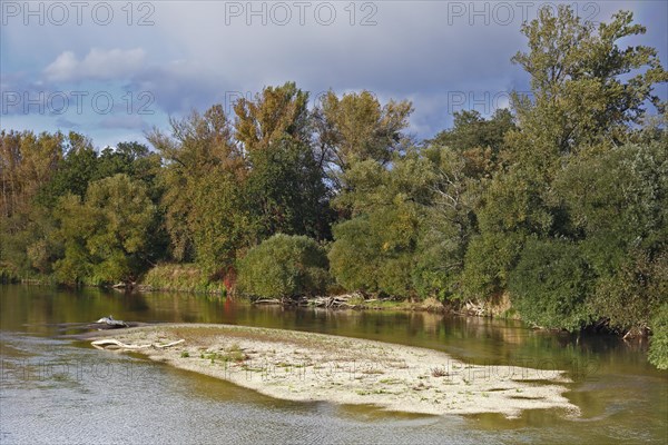 Autumn in the floodplain