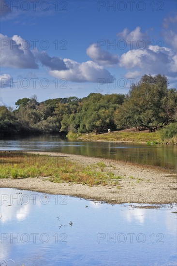 Autumn in the floodplain