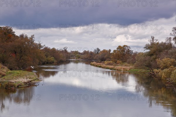 Autumn in the floodplain