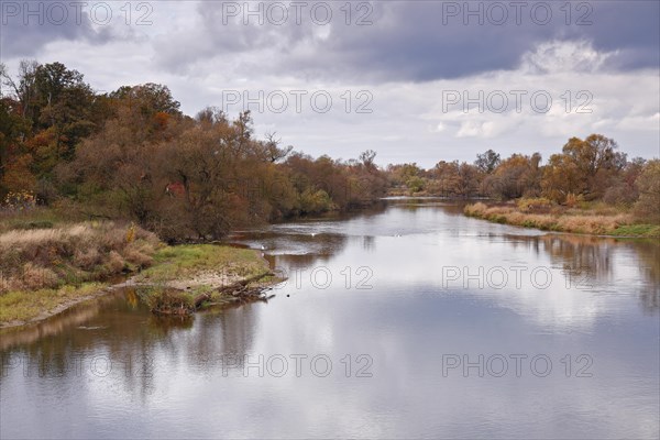 Autumn in the floodplain