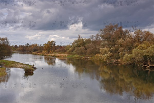 Autumn in the floodplain