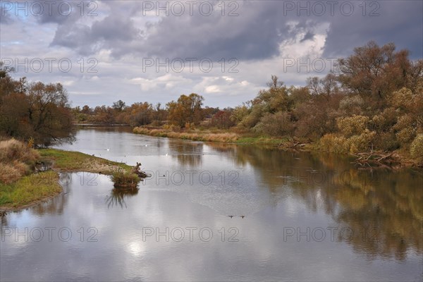 Autumn in the floodplain