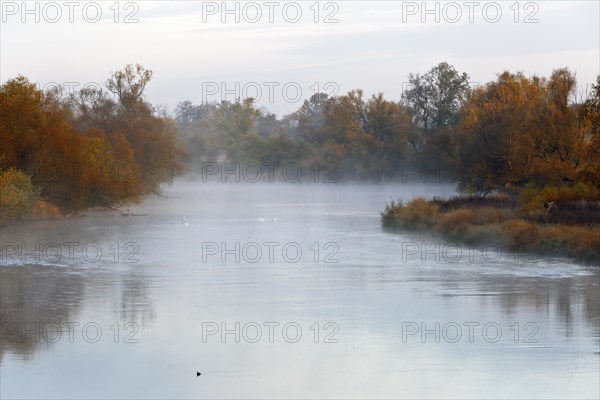 Autumn in the floodplain