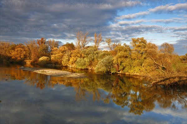 Autumn in the floodplain