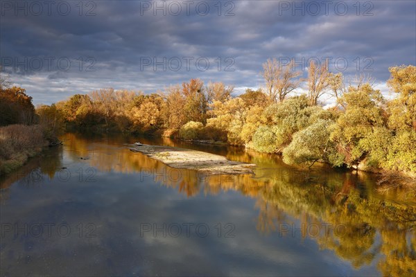 Autumn in the floodplain