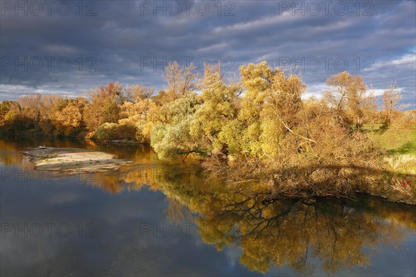 Autumn in the floodplain