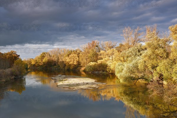 Autumn in the floodplain