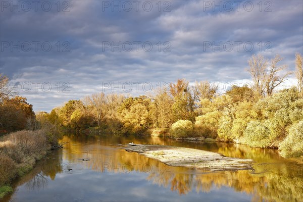 Autumn in the floodplain