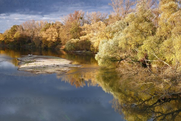 Autumn in the floodplain