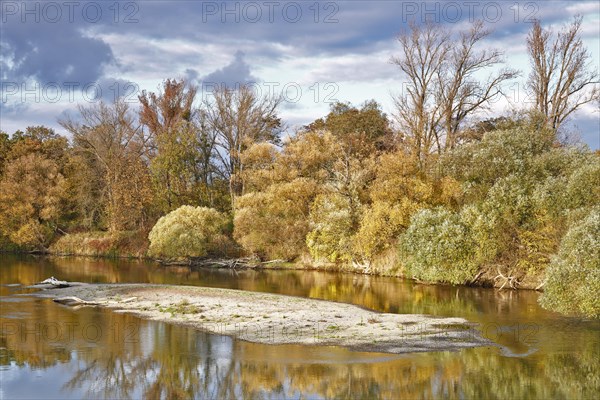 Autumn in the floodplain