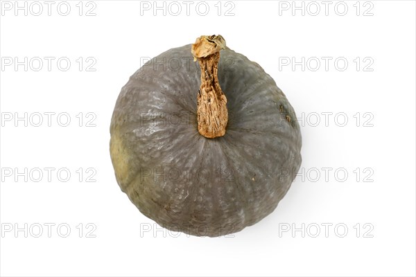 Top view of blue Kuri squash on white background